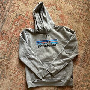 Patagonia Gray Hoodie Medium